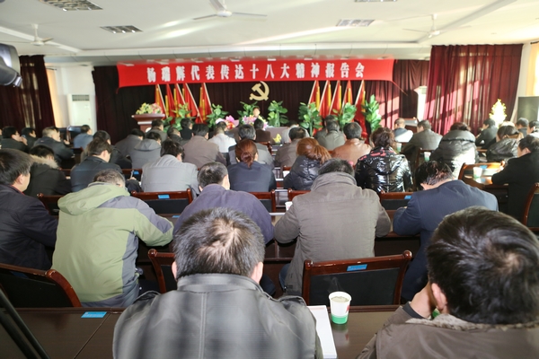 十八大代表楊瑞輝宣講十八大精神